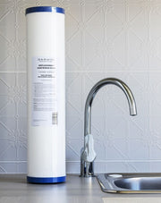 Delos 2-stage Whole Home Water Filtration System.
